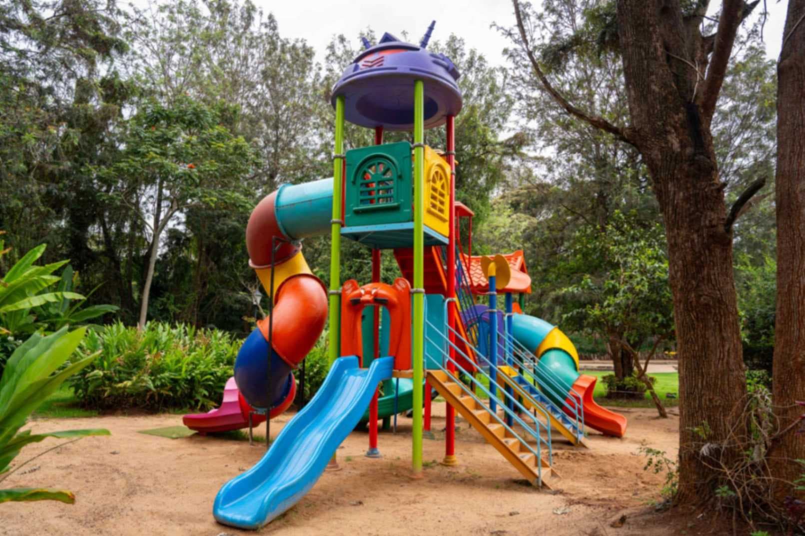 Blog Play & Dine: Child-Friendly Restaurants with Great Food for Parents Image